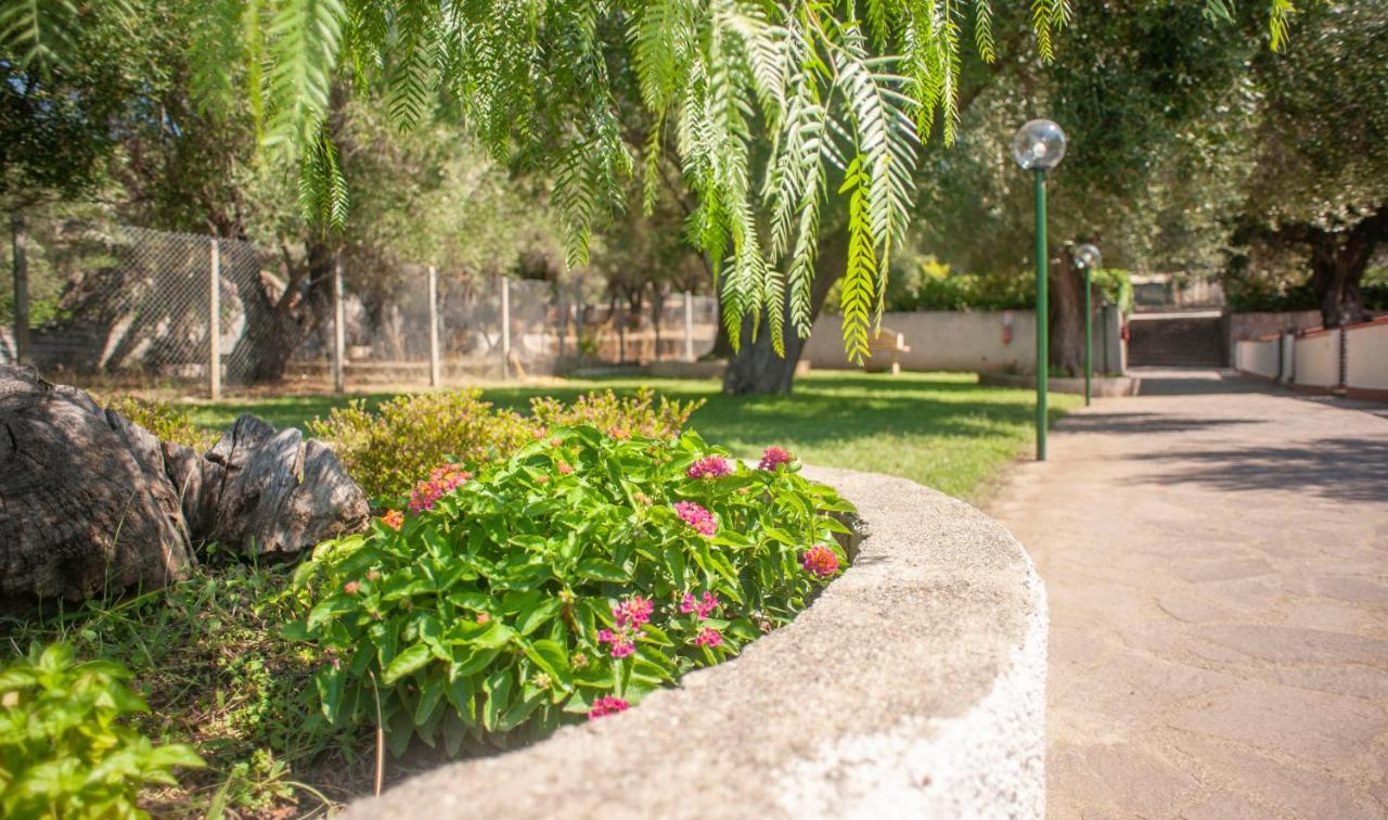 Casa Palinuro Vacanze Fronte Spiaggia Екстер'єр фото
