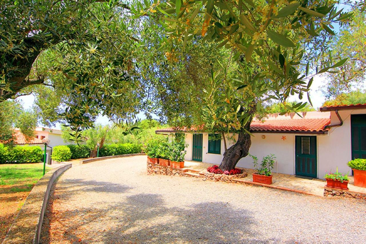 Casa Palinuro Vacanze Fronte Spiaggia Екстер'єр фото